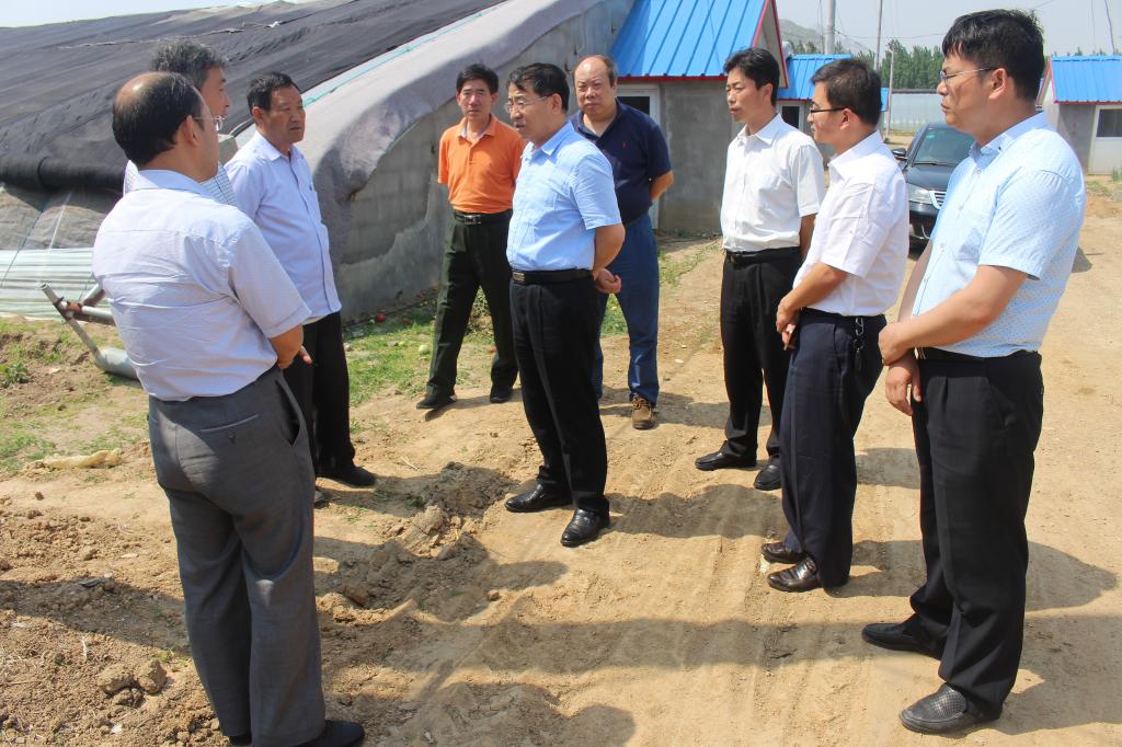 5月25日,黨委副書記馬善軍到莒南縣澇坡鎮